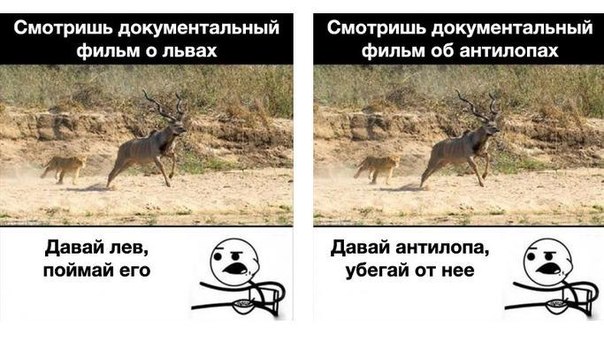 Удивительный прыжок леопарда во время охоты