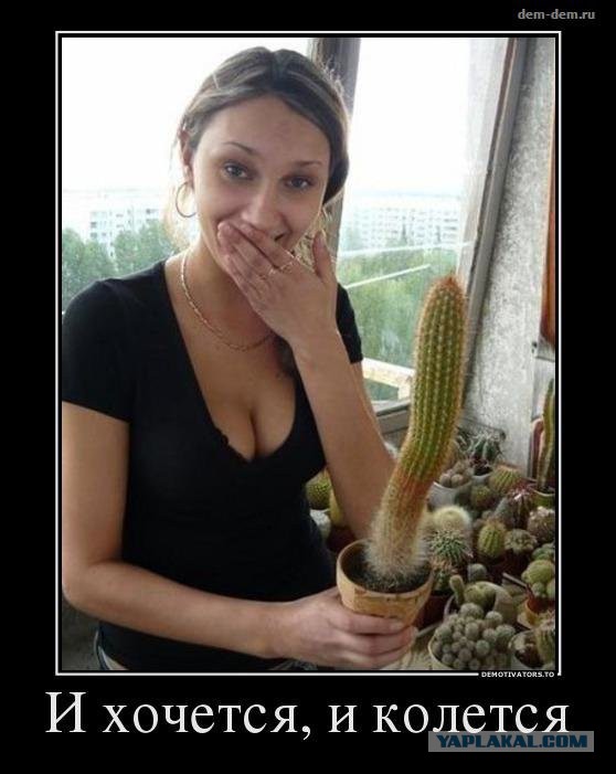 Всем зеленки!
