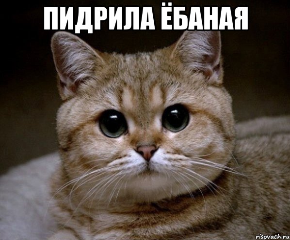 ГЕЯ требует извинения