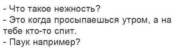 Весёлое из сети