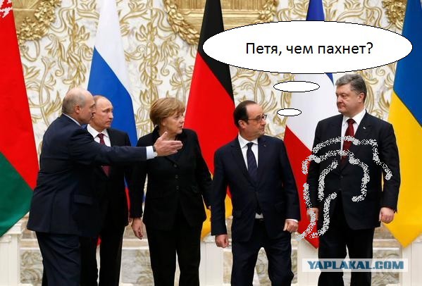 Предлагаю пожабить