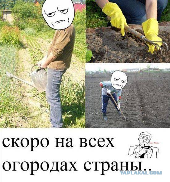 Картинок из сети немножко