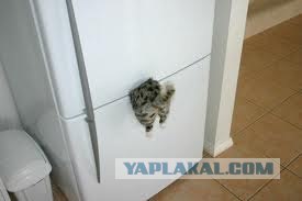 Когда-нибудь это точно произойдет.