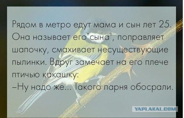 Картинки из инета