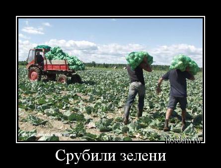 Веселые картинки