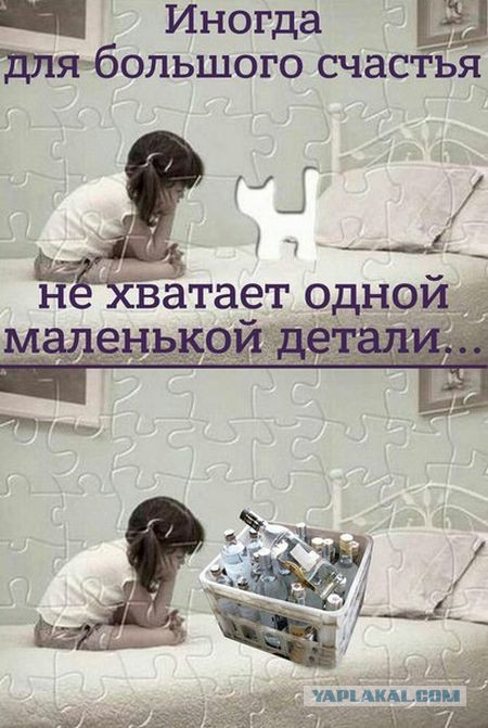 Подборка веселых картинок