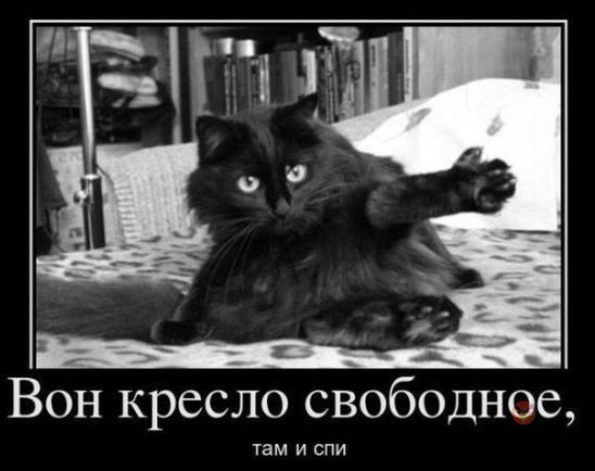 Картинки и демотиваторы