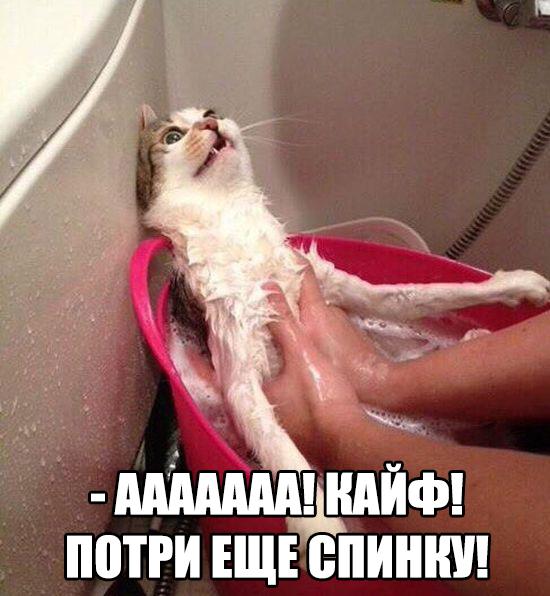 Всяко - разно...картинки