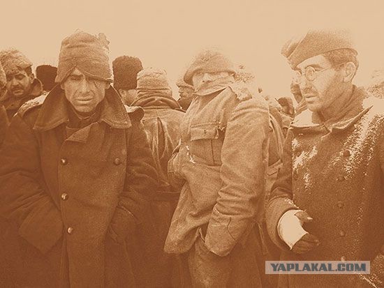 Фотографии с войны