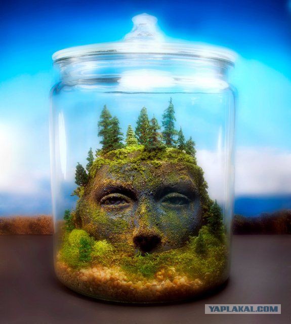 Картинки из сети