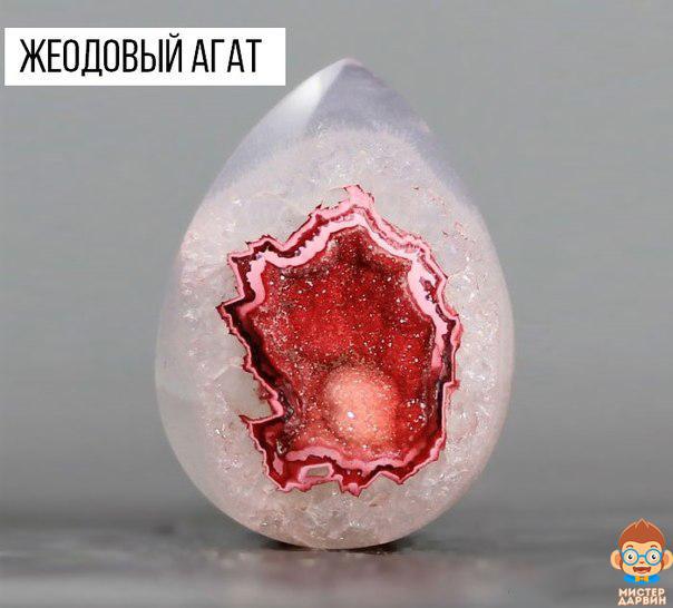 Интересные и веселые картинки