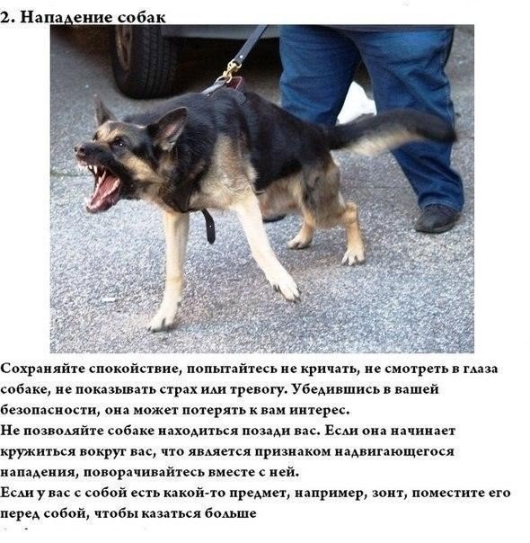 Подборка интересных и смешных картинок
