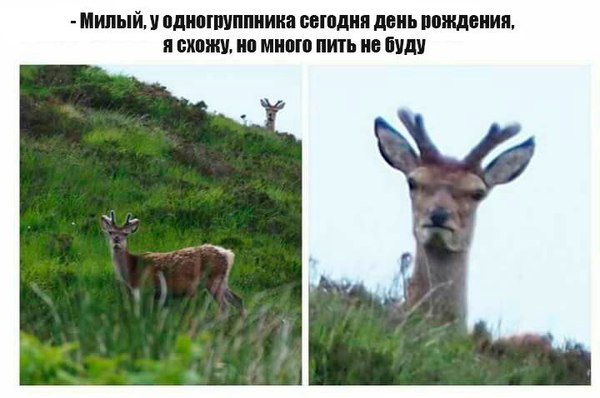 Подборка разного из сети.