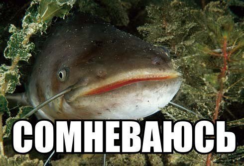 Путин заявил о восстановлении уровня доходов россиян
