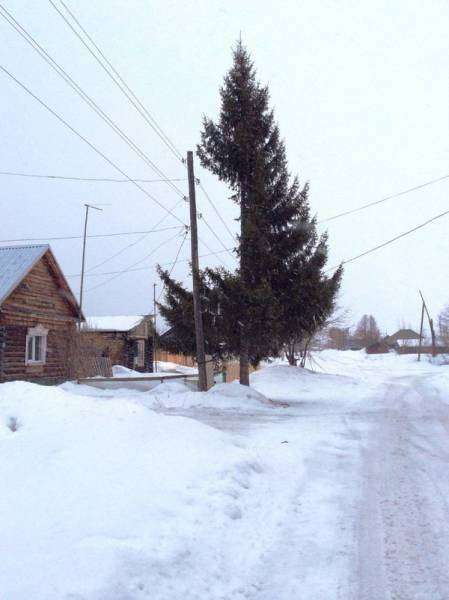 Немного разных картинок