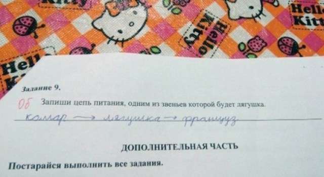 Почему бы не подеградировать, коллеги?