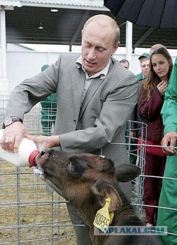 О том, как в 12 лeт я дал в рот одной