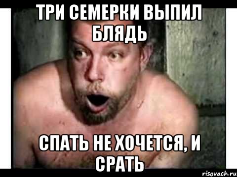 Итоги проверки пользователей