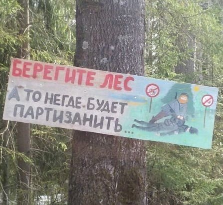 Нестандартный юмор