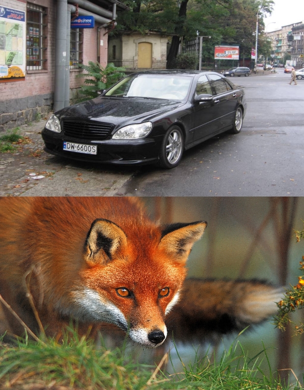 Клички у автомобилей