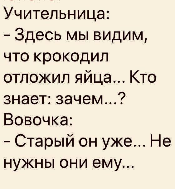 Анекдот про яйца. Зачем крокодил отложил яйца в песок. Анекдот про крокодила. Зачем крокодил отложил яйца. Анекдот про яйца крокодила.