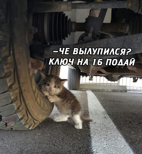 Подборка интересных и веселых картинок
