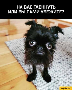 Картинок пост