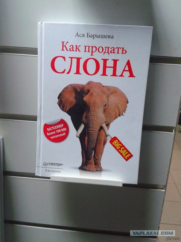 Спасибо Великому ЯПу - спас от кидал!