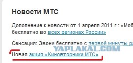 Котовторник