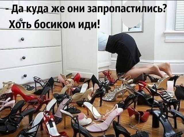 Применим физику в постели или белка и стрелка. Картинки