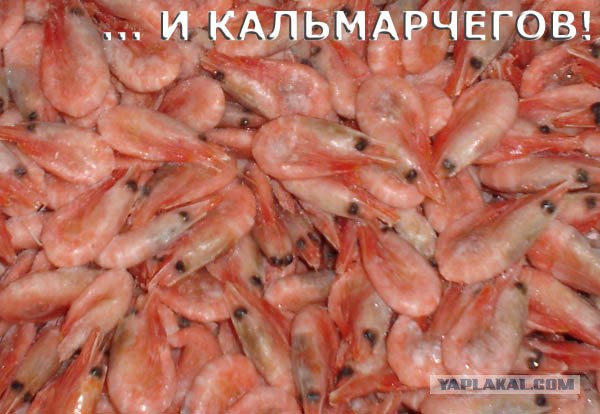 Первая ПЯТНИЦА июля! 04.07.08 - 13 фот