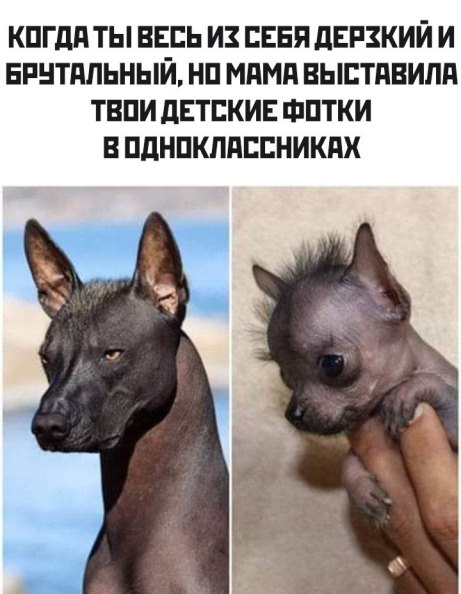 Бредзона 13.03.2020