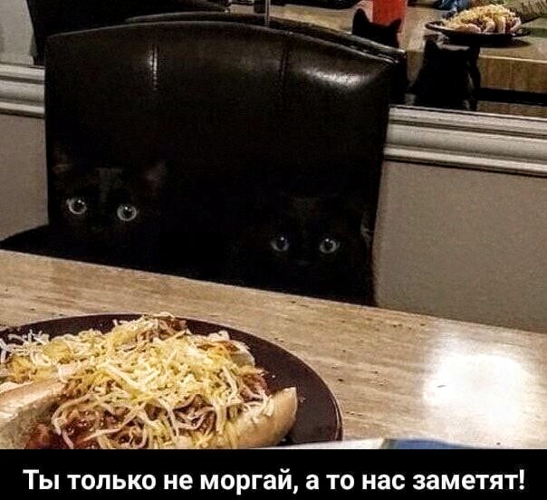 Немного картинок для настроения 27.04.20