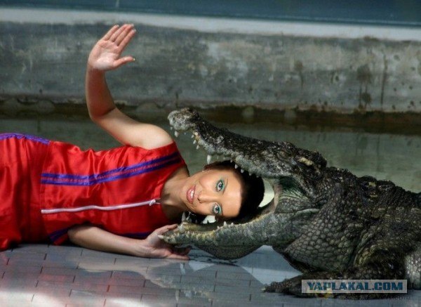 Фотожаба: Распорядись судьба иначе...