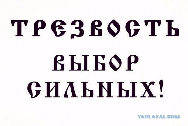 Белочка, запой и прозрачные сущности. Как я за две недели пропил сто тысяч