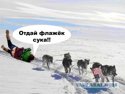 Фотограф прилег отдохнуть