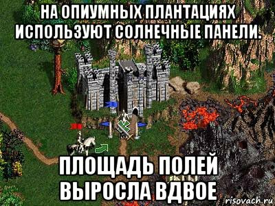 Технологии в наркотрафике: на опиумных плантациях Афганистана используют солнечные батареи. Площадь полей выросла вдвое