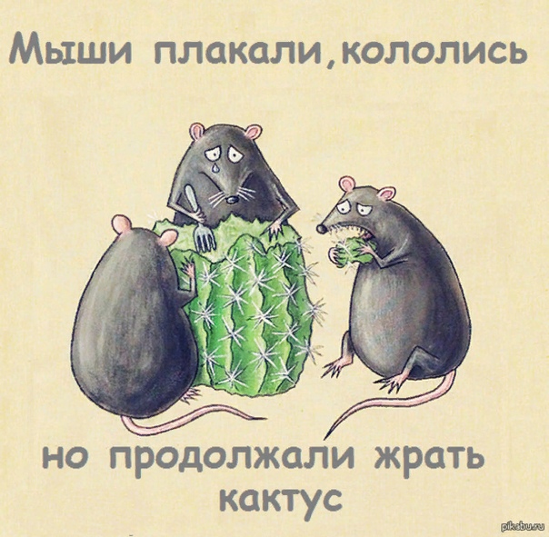 В ОЗХО подтвердили наличие «Новичка» в анализах Навального