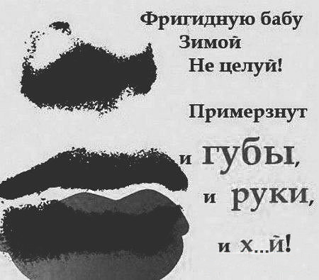 Фотки и картинки: юморные и красивые, забавные и милые 13.11.20