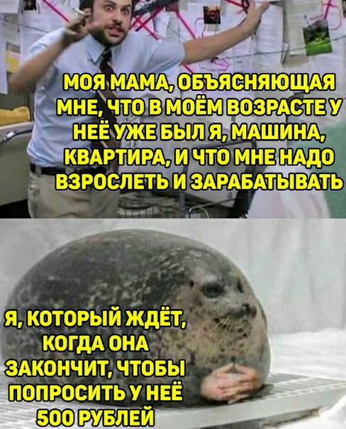 Немного картинок для настроения 18.11.20