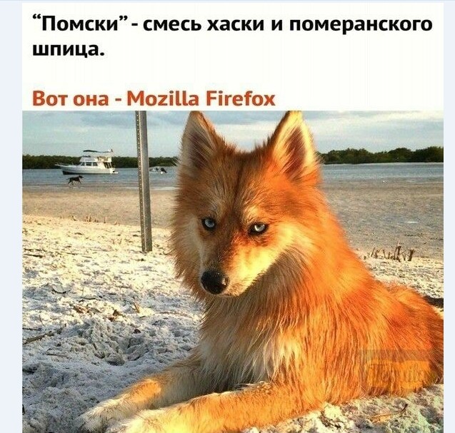 Картинки и мемы для настроения 008