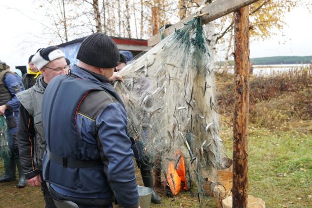 Нас лишили нормальной рыбалки и отдыха