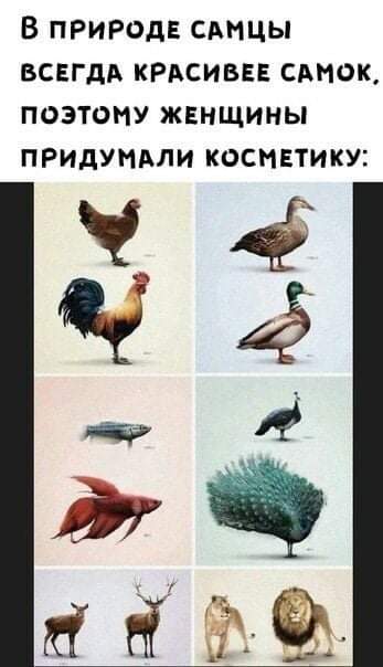 Картинки на среду 30.06.2021