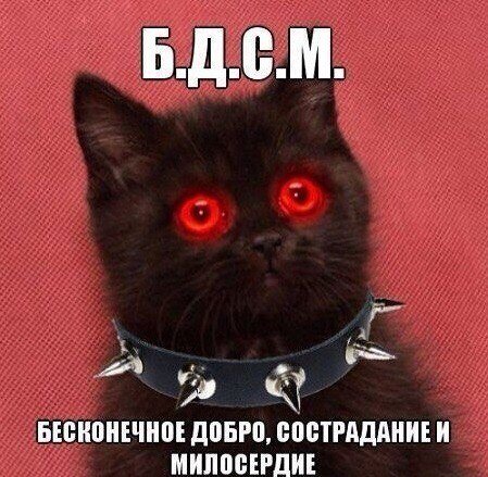 Я художник - я так вижу