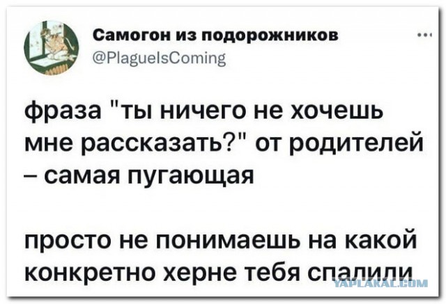 Забавные комментарии из социальных сетей 04.10.21