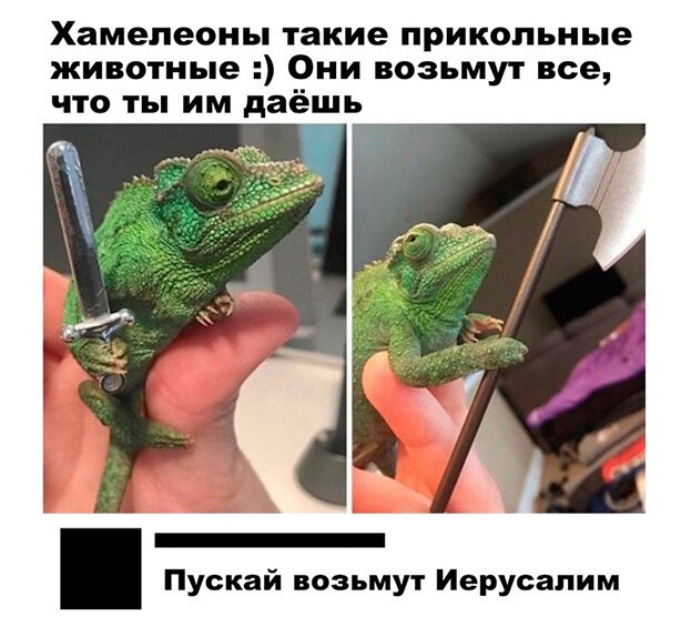 Картинки и мемы, всем прекрасных выходных