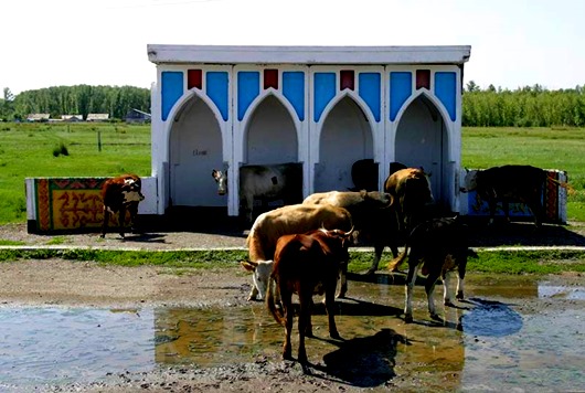 Guardian: советские автобусные остановки – самые красивые в мире