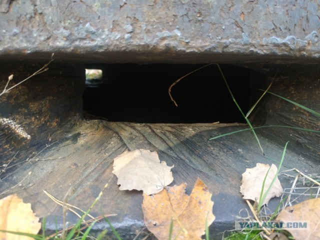 ЯП кругосветка. Этот проект завершился!