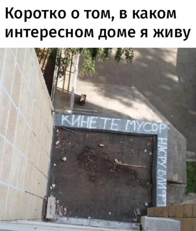 Немного баянов вам в ленту