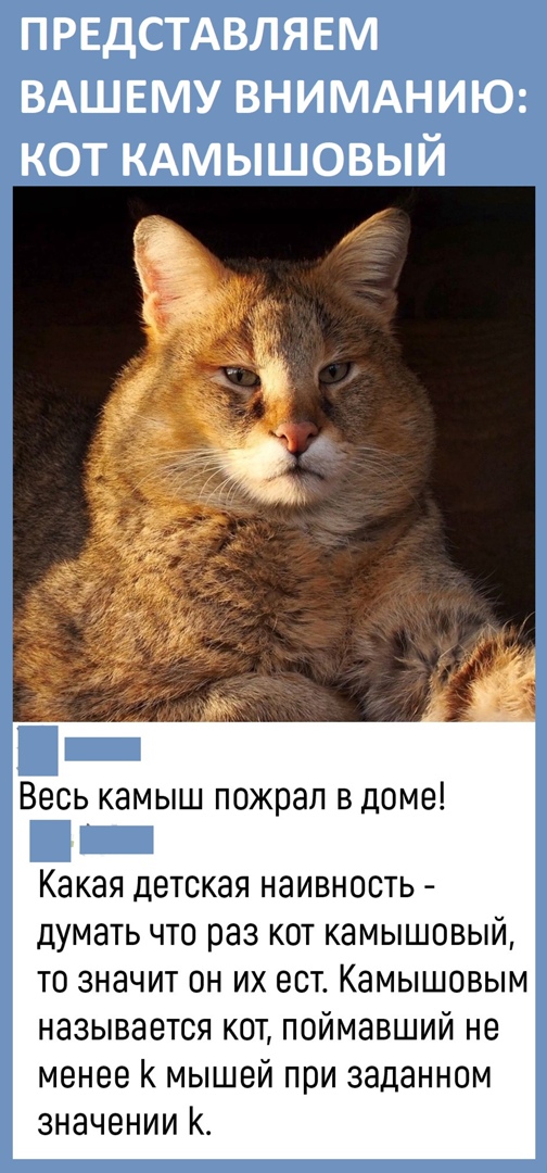 Так себе картинки 03.05.22